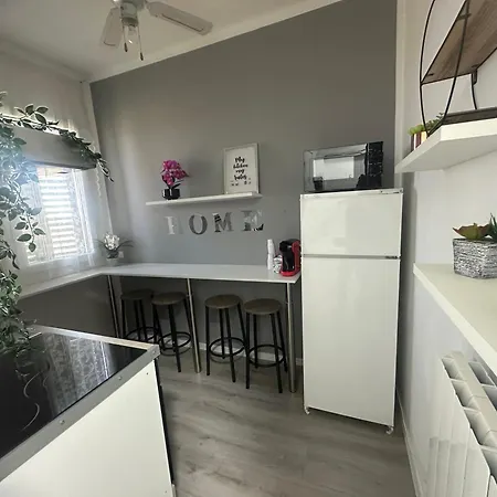 Le Palme Fiera * ボローニャ