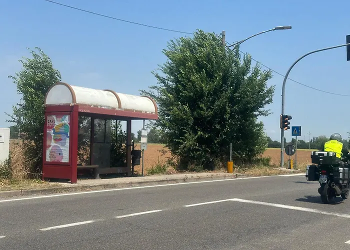 Le Palme Fiera *